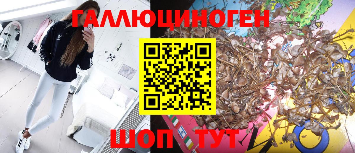 Берёзовский  Псилоцибиновые грибы Psilocybe  даркнет сайт  Вход с VPN 